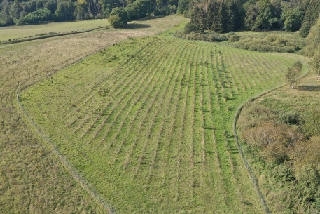 Luftbild Pflanzung der Fläche Pantow Süd