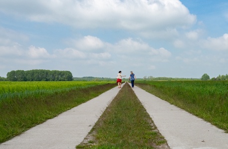 Ländlicher Weg in Mecklenburg-Vorpommern