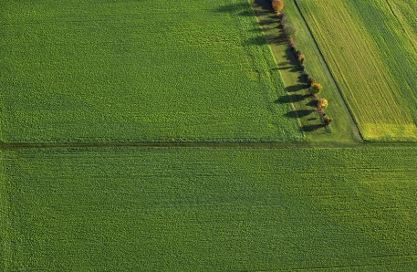 Grüne Felder im Luftbild