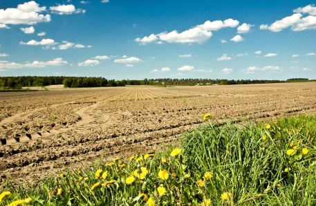 Feld in Mecklenburg-Vorpommern