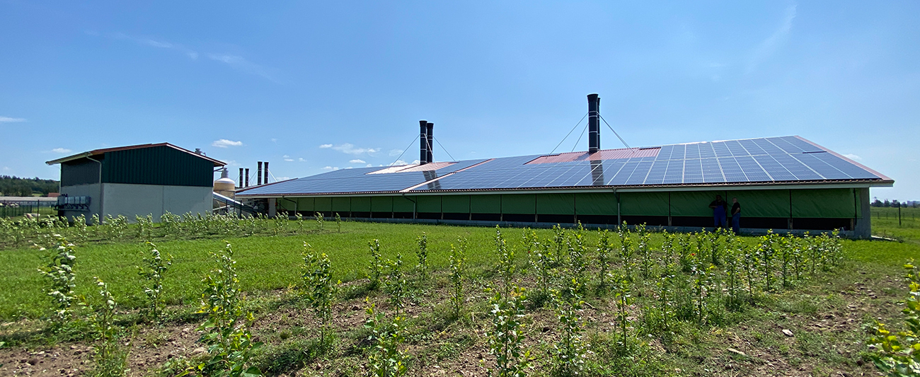 Bio Legehennenanlage in Warenshof mit Außenanlagen © LGMV
