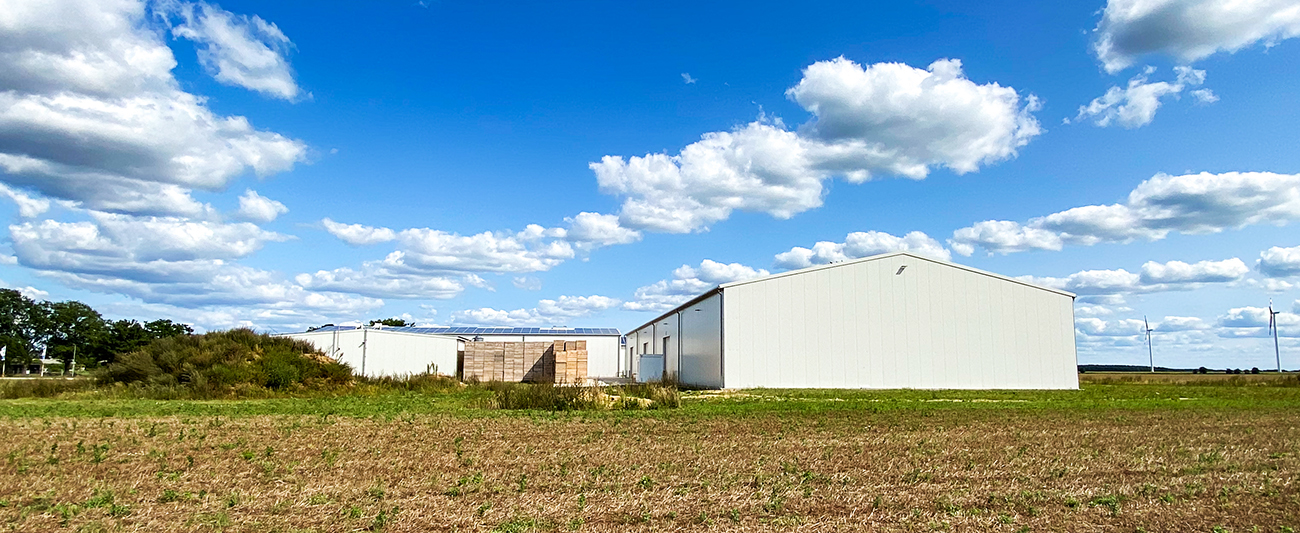 Lagerhallen für Kartoffelkisten in Lübesse © LGMV