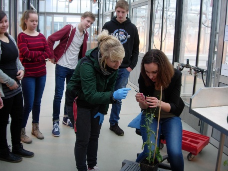 Die Wissenskarawane 2016 fand im Agrobiotechnikum statt Foto FMV