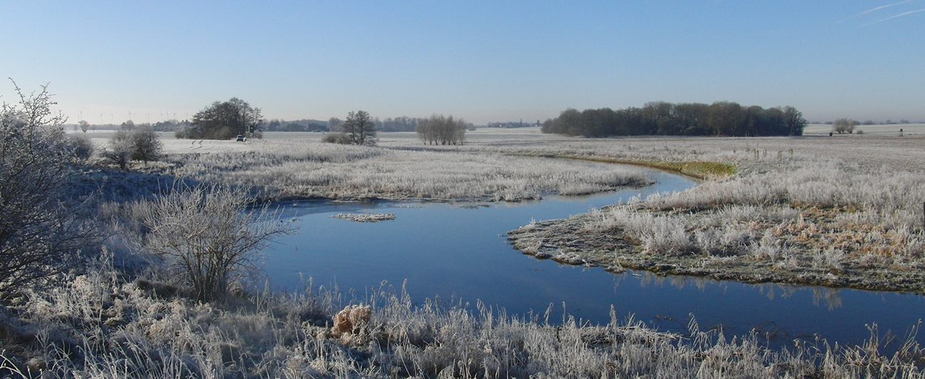 6 Moorschutz und Natura 2000 
