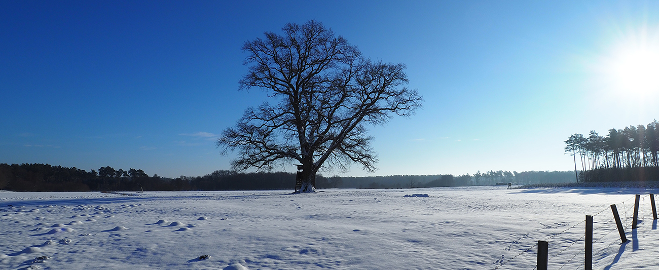 Winterlandschaft in MV © LGMV