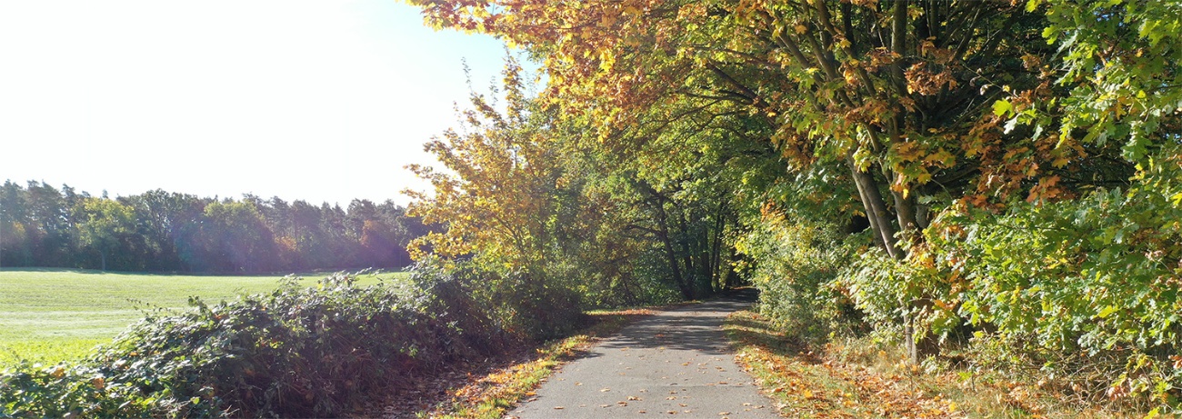 Luftaufnahme Herbst Leezen Umgebung LGMV 