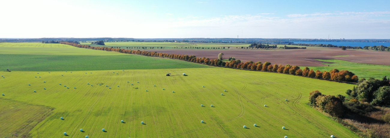 Auswahl Website_DJI_0735 