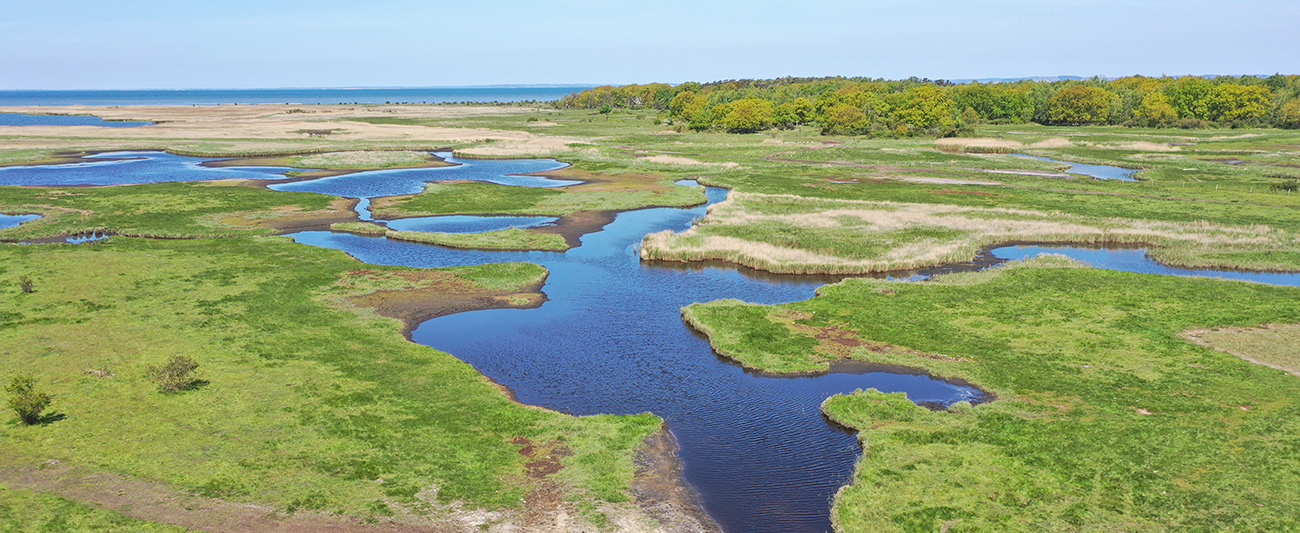 Optimierung des Priel- und Weidesystems auf der Insel Struck © LGMV