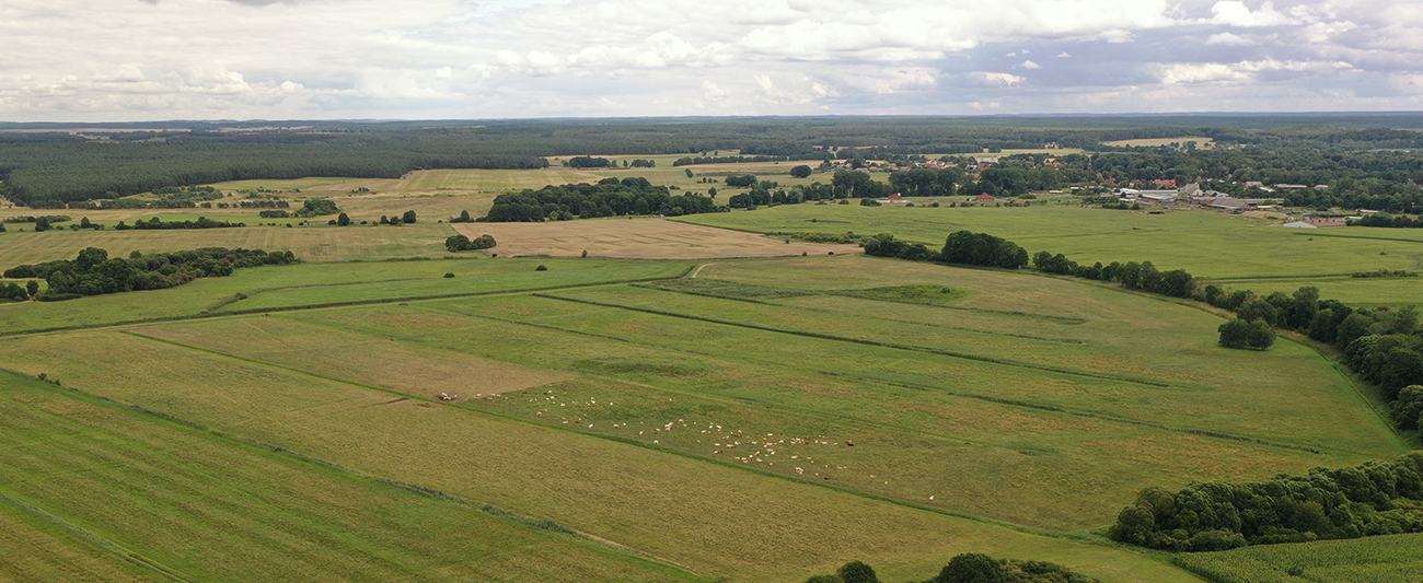 Bühne DJI_0944 