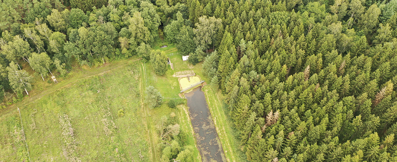 Bühne DJI_0950 