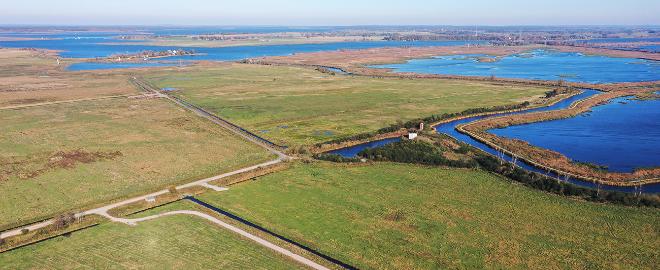 Polder Bargischow Moorflächen Blickrichtung NO © LGMV