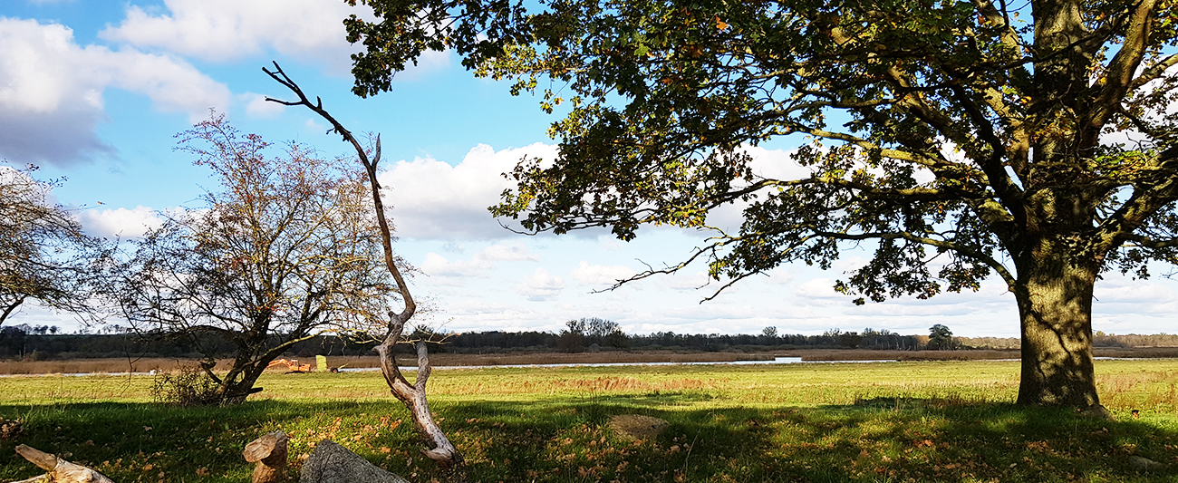 Herbst in Mecklenburg-Vorpommern 17 © LGMV
