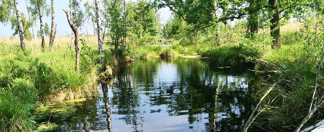 Moorschutz und Natura 2000 