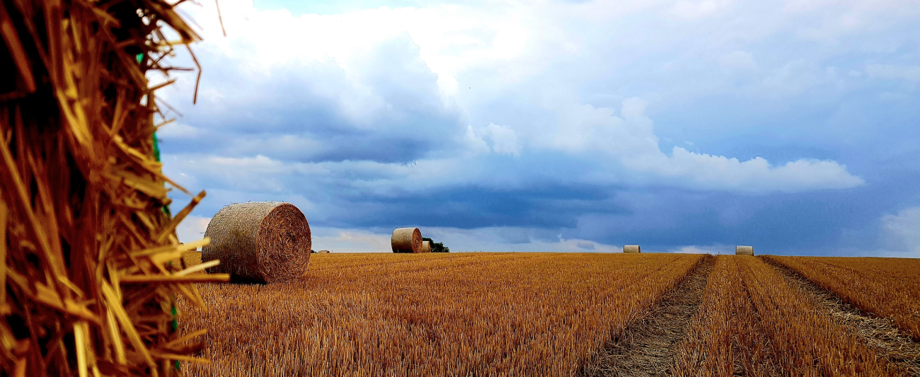 Strohballen auf Feld LGMV © LGMV