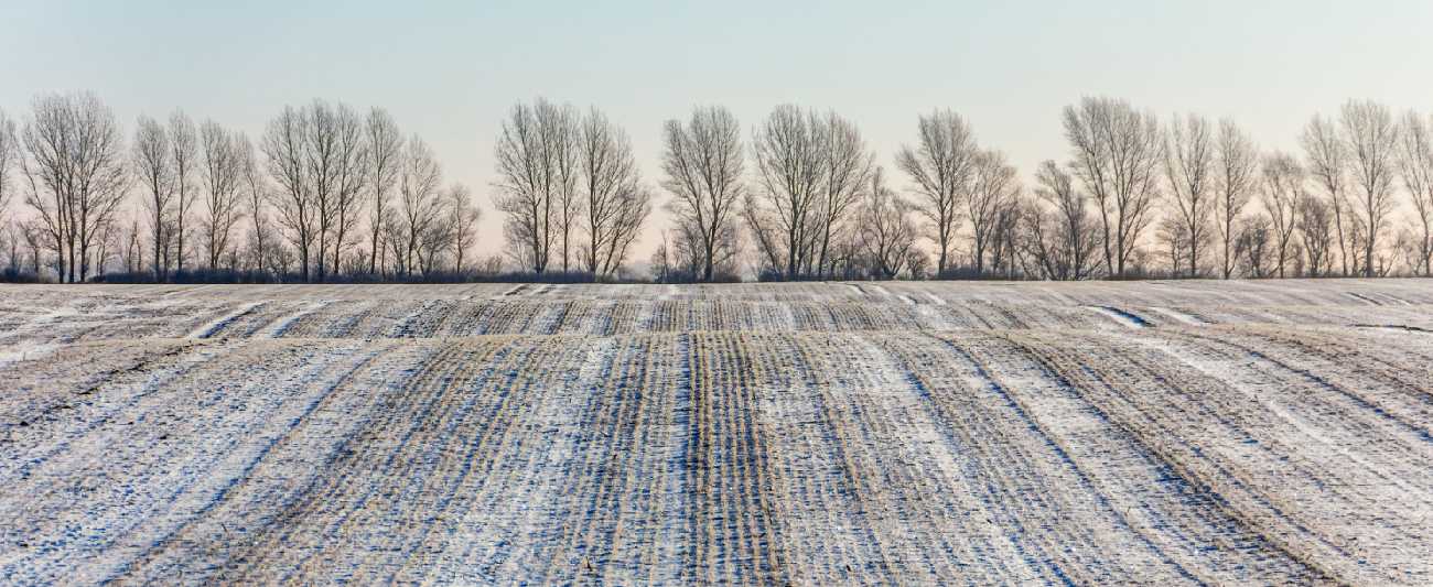 Winterlandschaft © Fotolia 123538980 Angelika Bentin
