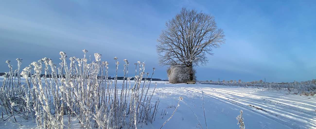 Winterlandschaft3 