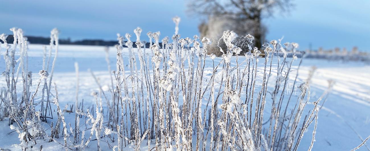 Winterlandschaft4 