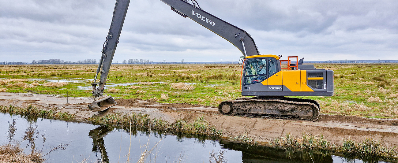Bagger im Polder Bargischow Süd © LGMV