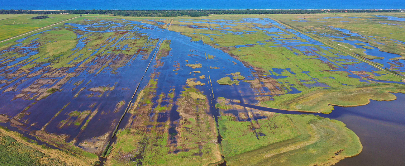 Luftbild Fischlandwiesen © LGMV