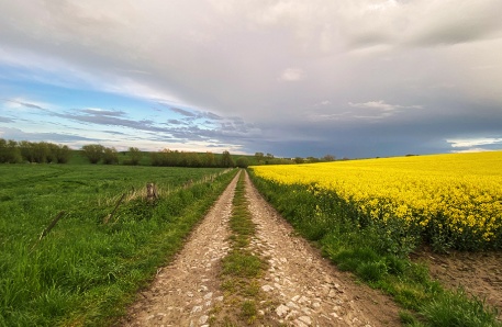 Landwirtschaftliche Flächen in M-V