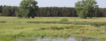 Moorschutz und Natura 2000 © LGMV