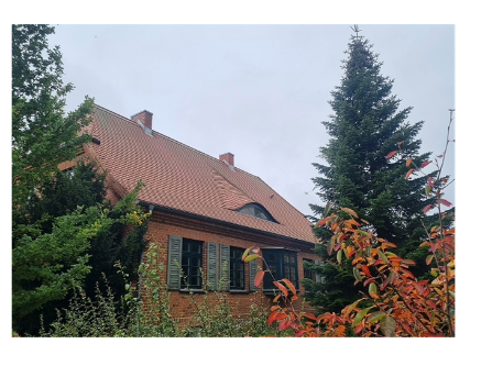 Lohmen Lohmen